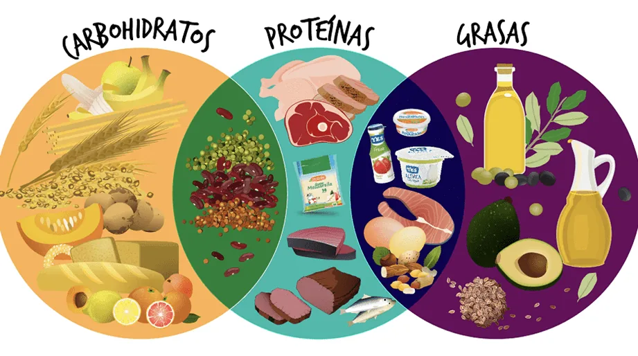 En déficit calórico bajan los carbohidratos, clave para la fuerza