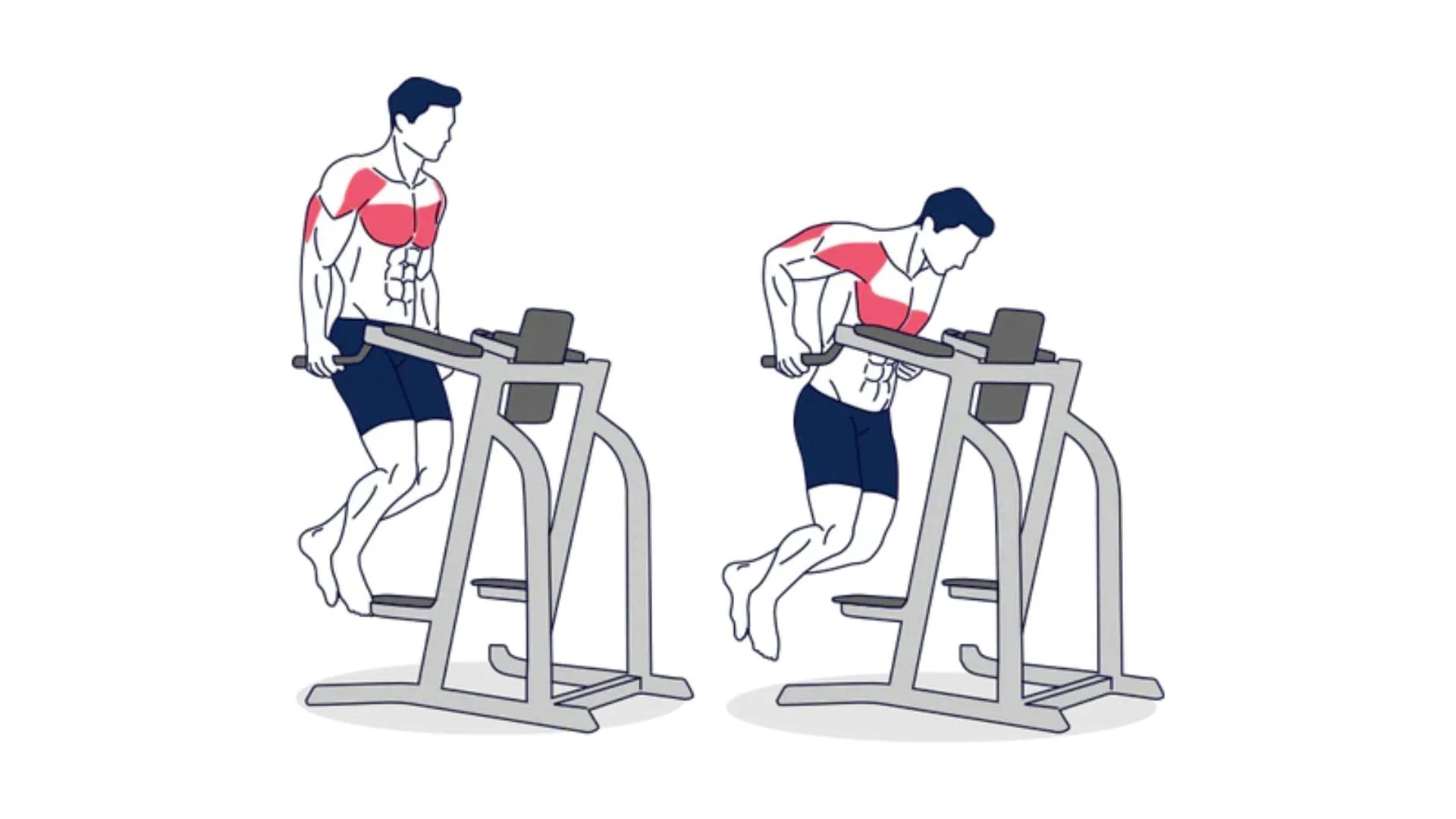 Fondos en paralelas para el pectoral