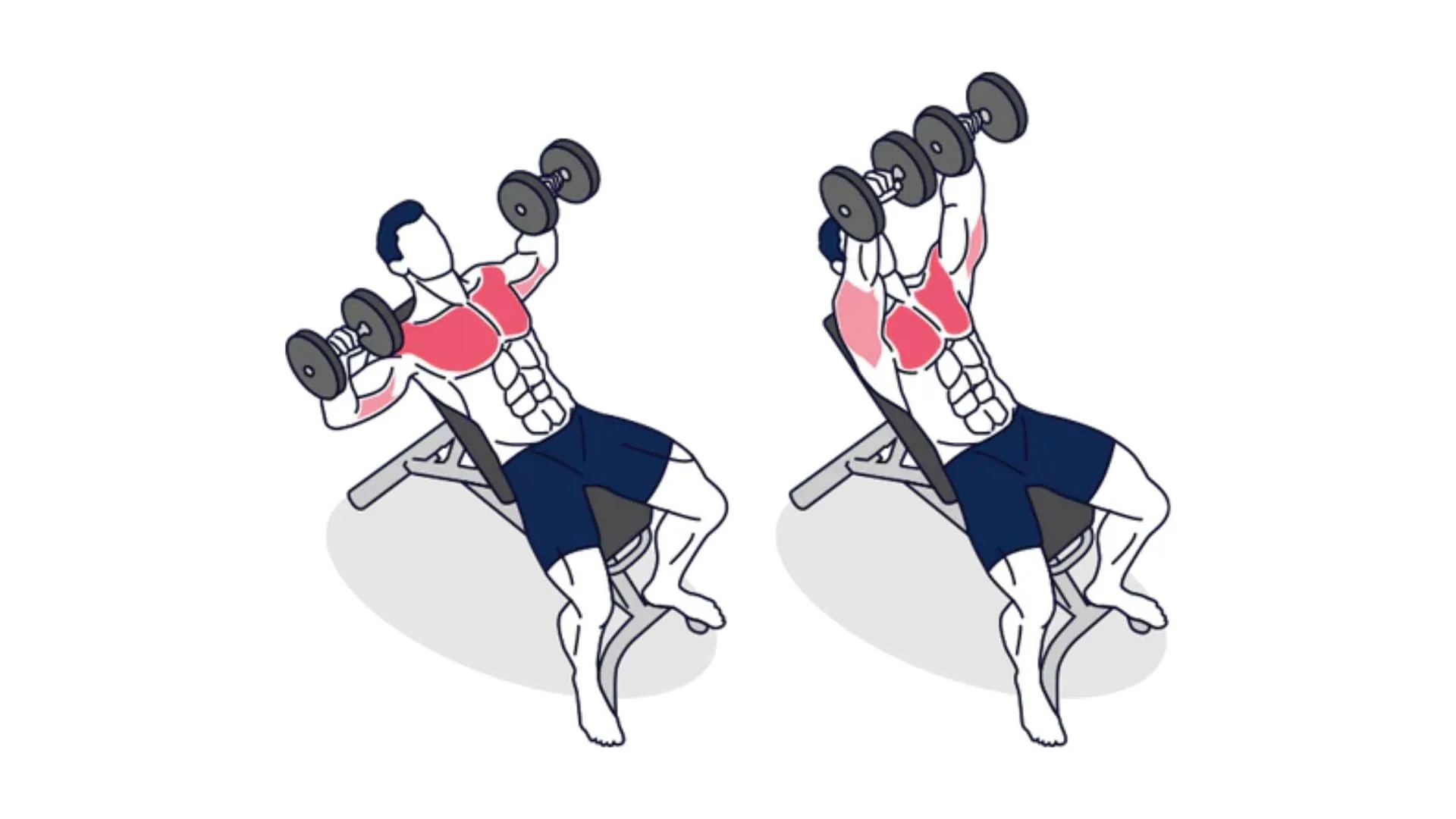 Press inclinado con mancuernas para el pectoral superior
