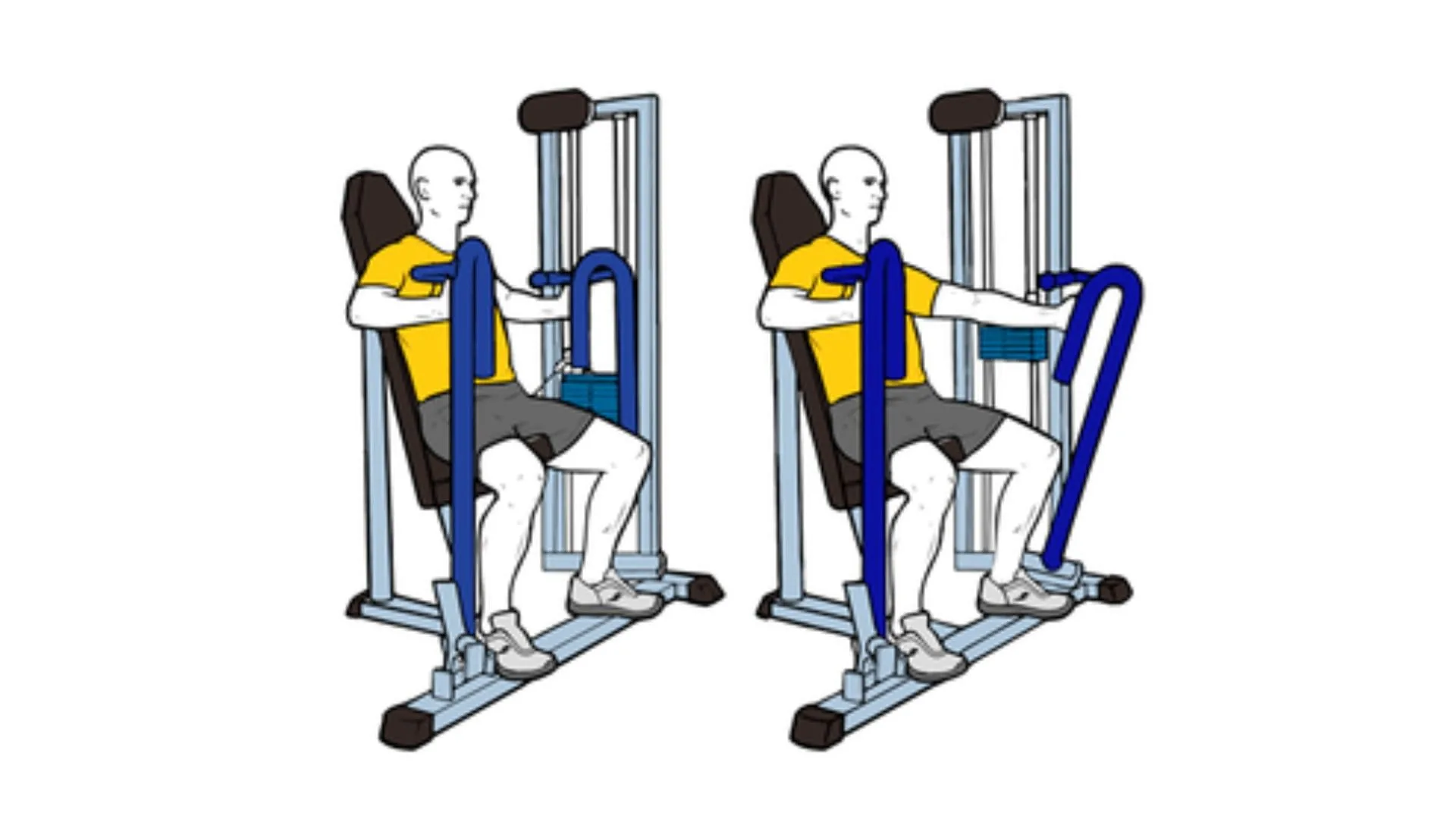 Press en máquina horizontal para el pectoral bajo