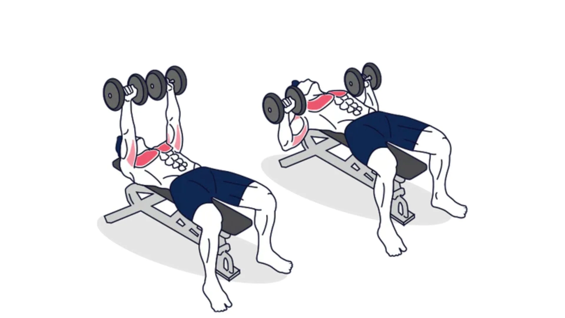 Press plano con mancuernas para el pectoral bajo