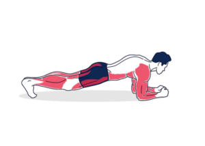 Plancha abdominal